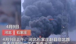 鞍山媒体爆料事件视频